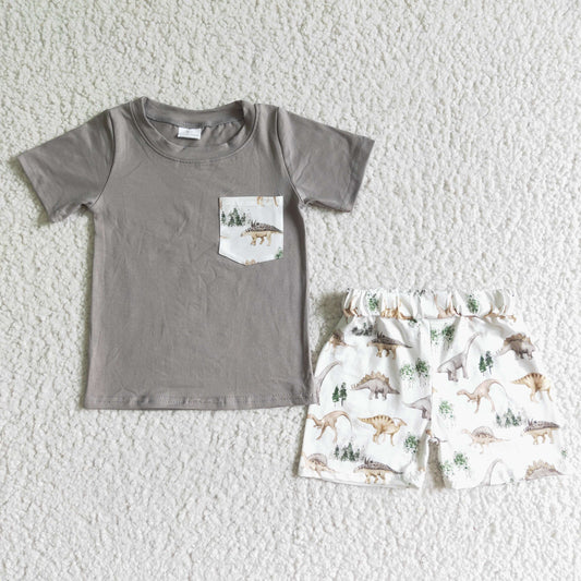 Dinosaur Short sleeve Top boy shorts set